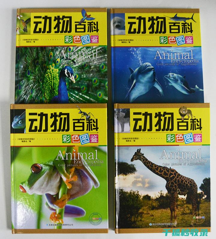 《动物百科：带您了解地球上不同动物之间的竞争与合作关系》 (动物百科视频)