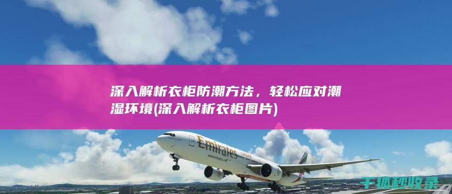 深入解析衣柜防潮方法，轻松应对潮湿环境 (深入解析衣柜图片)