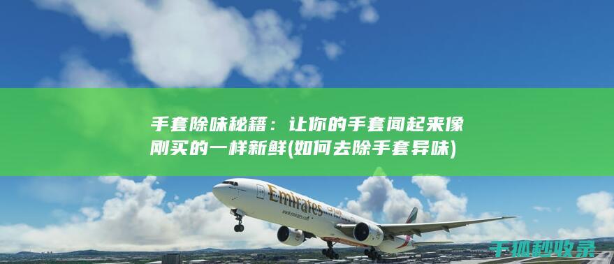 手套除味秘籍：让你的手套闻起来像刚买的一样新鲜 (如何去除手套异味)