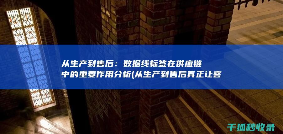 从生产到售后：数据线标签在供应链中的重要作用分析 (从生产到售后真正让客户无忧的句子)