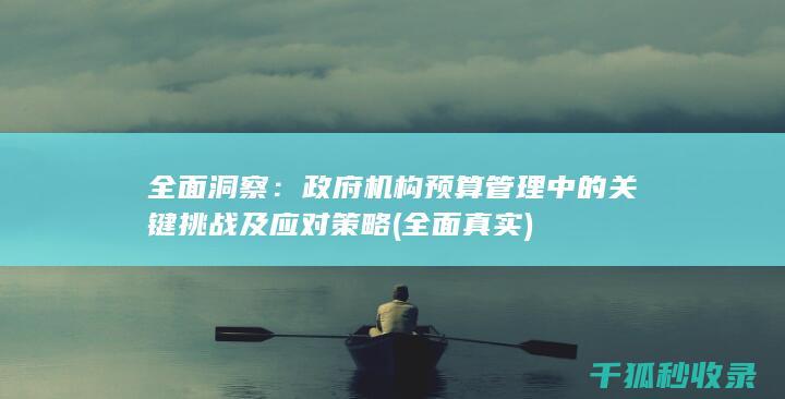 全面洞察：政府机构预算管理中的关键挑战及应对策略 (全面真实)