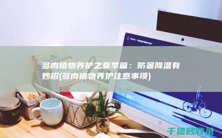 多肉植物养护之夏季篇：防暑降温有妙招 (多肉植物养护注意事项)
