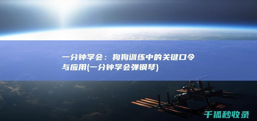 弹钢琴