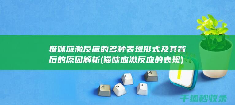 猫咪应激反应的多种表现形式及其背后的原因解析