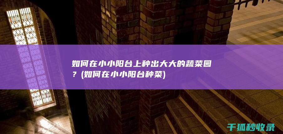 如何在小小阳台上种出大大的蔬菜园？ (如何在小小阳台种菜)