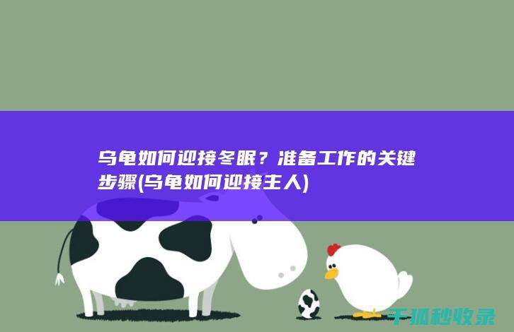 乌龟如何迎接冬眠？准备工作的关键步骤 (乌龟如何迎接主人)