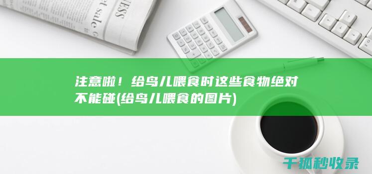 注意啦！给鸟儿喂食时这些食物绝对不能碰 (给鸟儿喂食的图片)
