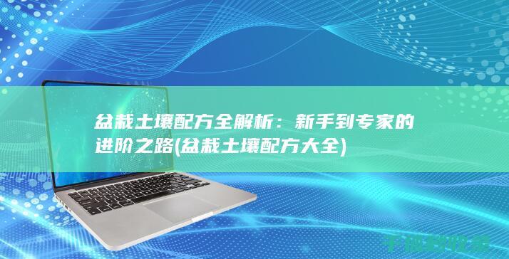 盆栽土壤配方全解析：新手到专家的进阶之路 (盆栽土壤配方大全)