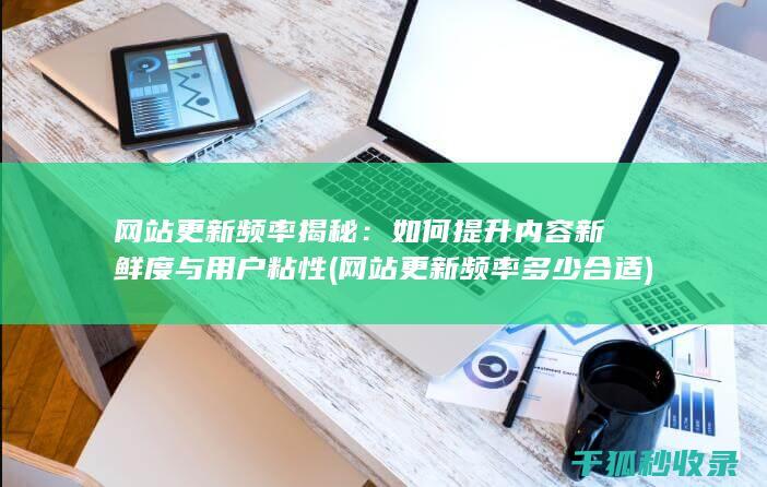 网站更新频率揭秘：如何提升内容新鲜度与用户粘性 (网站更新频率多少合适)