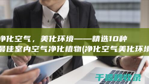 净化空气，美化环境——精选10种最佳室内空气净化植物 (净化空气美化环境)