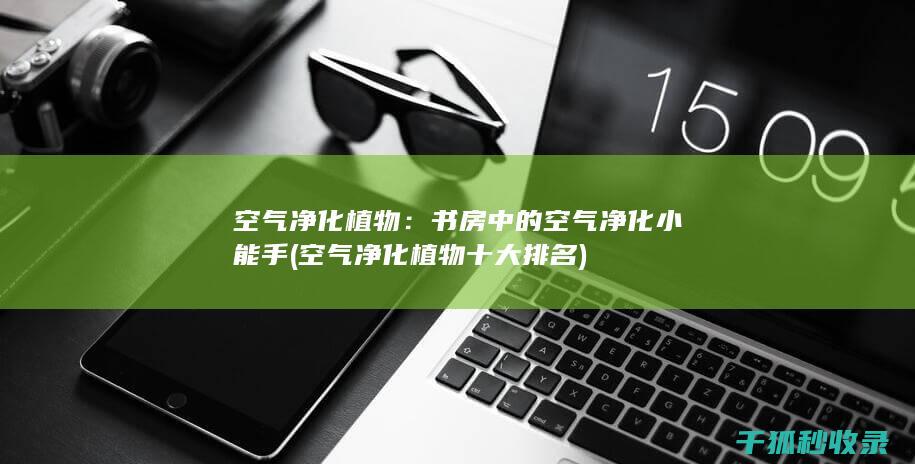 空气净化植物：书房中的空气净化小能手 (空气净化植物十大排名)