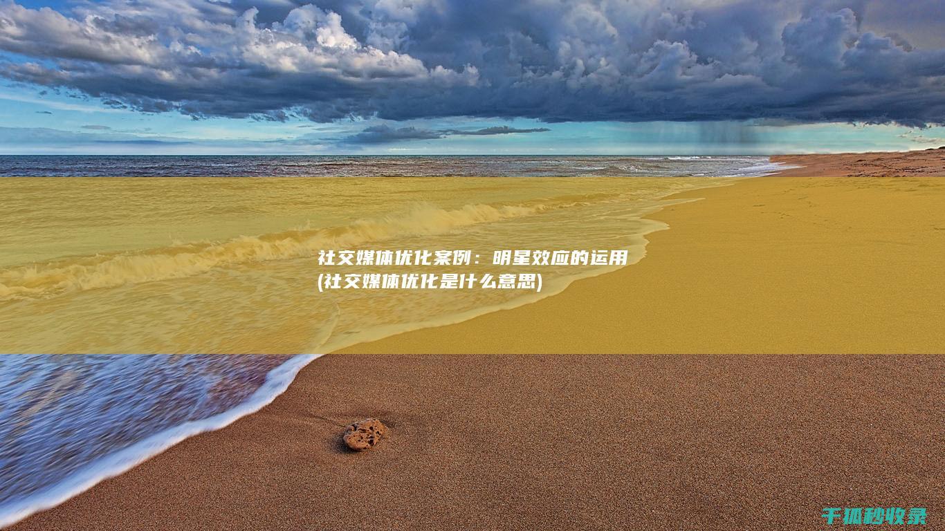 社交媒体优化案例：明星效应的运用 (社交媒体优化是什么意思)