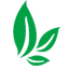 正山堂茶业