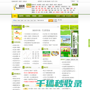 蔬菜网