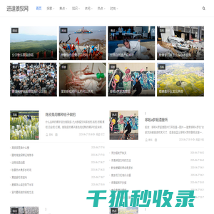 进退狼狈网