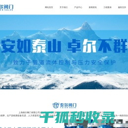 上海泰尔阀门有限公司