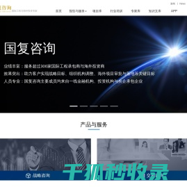 国复咨询