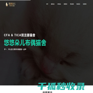 悠悠朵儿布偶猫舍