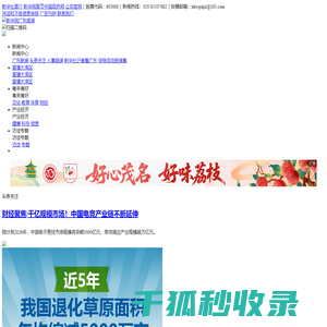 新华网广东频道